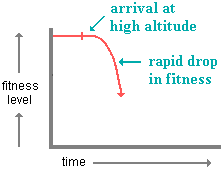 graph illustrating initial inefficient physiological response to low oxygen pressure