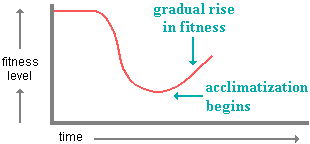 graph illustrating beginning of successful acclimatization to low oxygen pressure after initial decline in fitness