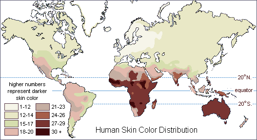 map of the world showing the distributiion of human skin color in about 1500 A.D.--darker skin colors are found mostly between 20 degrees north and south of the equator