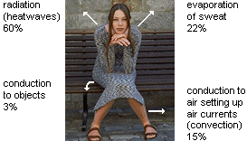 photo of a young woman illustrating her loss of body heat by radiation, conduction, evaporation, and convection in a moderate climate--60% is lost through radiation, 3% through conduction into the bench she is sitting on, 22% through evaporation of sweat, and 15% through convection into the air surrounding her