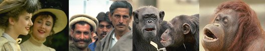 4 pictures: two Northern European women, Afgan men in a market, two chimpanzees, and an orangutan