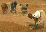 photo of poor African women doing hard labor on a farm