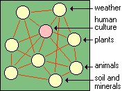 diagram illustrating that culture is an interdependent component of the natural environment