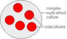 graphic representation of sub-cultures within a culture