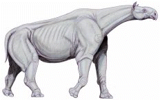 drawing of a hornless rhinoceros (Indricotherium transouralicum)