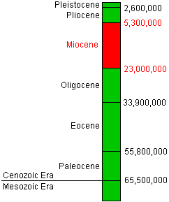 time chart of the Cenozoic Era focusing on the Miocene Epoch