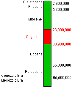 time chart of the Cenozoic Era focusing on the Oligocene Epoch