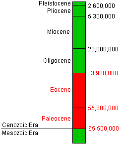 time chart of the Cenozoic Era focusing on the Paleocene and Eocene Epochs