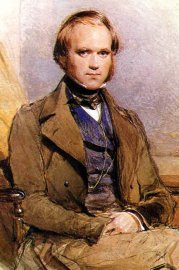 Picture of a portrait of Charles Darwin in his 20's