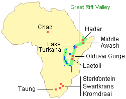 Map of Africa showing major australopithecine sites