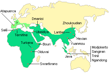 Map of the Important Homo erectus Sites