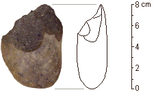 photo of an Oldowan core tool