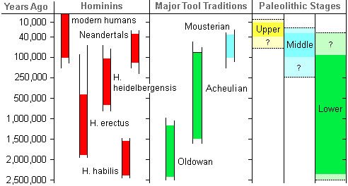table showing the time frame of evolution for the different human species, tool making traditions, and stages of the Paleolithic