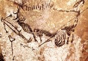 photo of a Lascaux cave painting of a wounded bison and a gored man on the ground in front of it