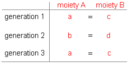 Diagram of Australian 4-class system showing the relationship between generation, class, and moiety identity