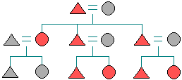 A kinship diagram