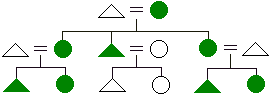matrilineal descent diagram