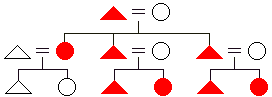 patrilineal descent diagram