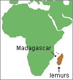 map of lemur range