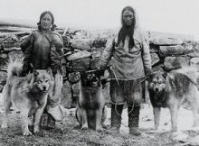Early 20th century photo of an Eskimo man and woman with some of their dogs