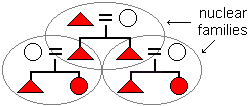 Extended family diagram with the nuclear families highlighted