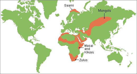 World map showing the traditional pastoralist regions today with the Saami, Mongol, Masai, Kikuyu, and Zulu traditional homelands highlighted