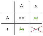 Punnett square showing selection against homozygous recessive children