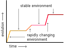 graph of punctuated equilibrium with periods of stability and change identified