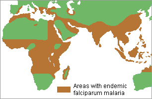 map of endemic falciparum malarial regions of the Old World showing high frequencies around the Mediterranean Basin, in Central Africa, and South Asia