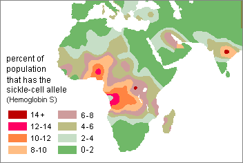 map of high frequency sickle-cell anemia areas of the Old World showing that it is most common in West Central Africa and India
