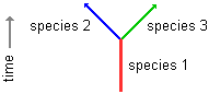 schematic drawing of one species splitting into two distinct species over time