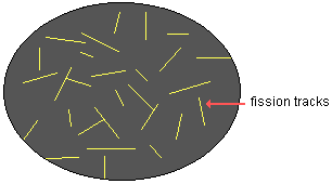 drawing of fission tracks in obsidian seen through an optical microscope