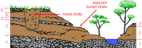 drawing of geological unconformities--mixed strata and buried strata exposed by erosion