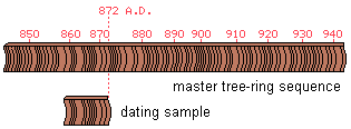drawing illustrating the process of determining the date of a log sample by comparison with a master tree-ring sequence