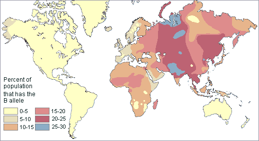 map of the world showing the frequency of the B blood allele among indigenous populations--it was absent in Australia, New Zealand, and most of the New World except for western Alaska; it was present throughout the Old World with its highest frequencies in Central and East Asia