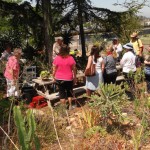 2010 Cactus & Succulent Care Workshop