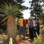 2010 Cactus & Succulent Care Workshop