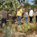 2010 Cactus & Succulent Care Workshop