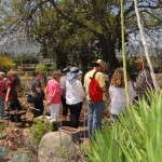 2010 Cactus & Succulent Care Workshop