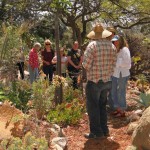 2010 Cactus & Succulent Care Workshop