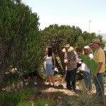 2010 Cactus & Succulent Care Workshop