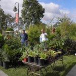 Annual Fall Plant Sale