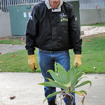 Annual Plant Sale - October 6, 2011