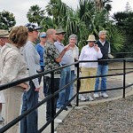 Discover the Plants of Palomar College Walking Tour