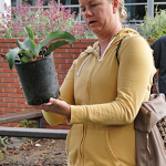 Annual Plant Sale - October 6, 2011