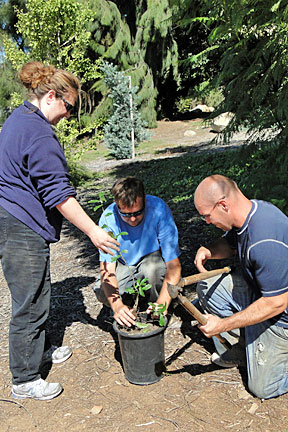 October 8, 2011 Fall Beautification Day