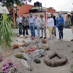 Discover the Plants of Palomar College Walking Tour