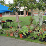 Annual Plant Sale - October 6, 2011