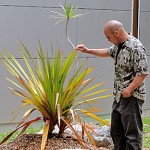 Discover the Plants of Palomar College Walking Tour