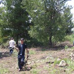 2006 Arboretum Beautification Day